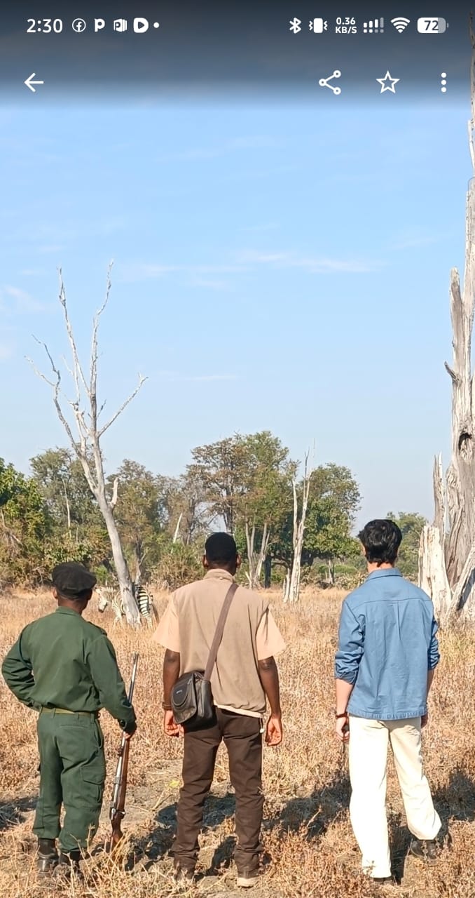Safari