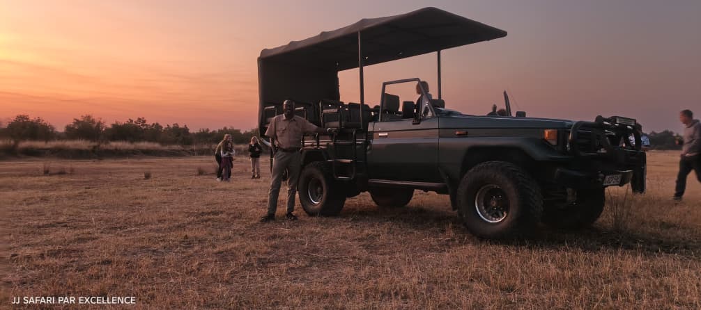 Safari Adventure