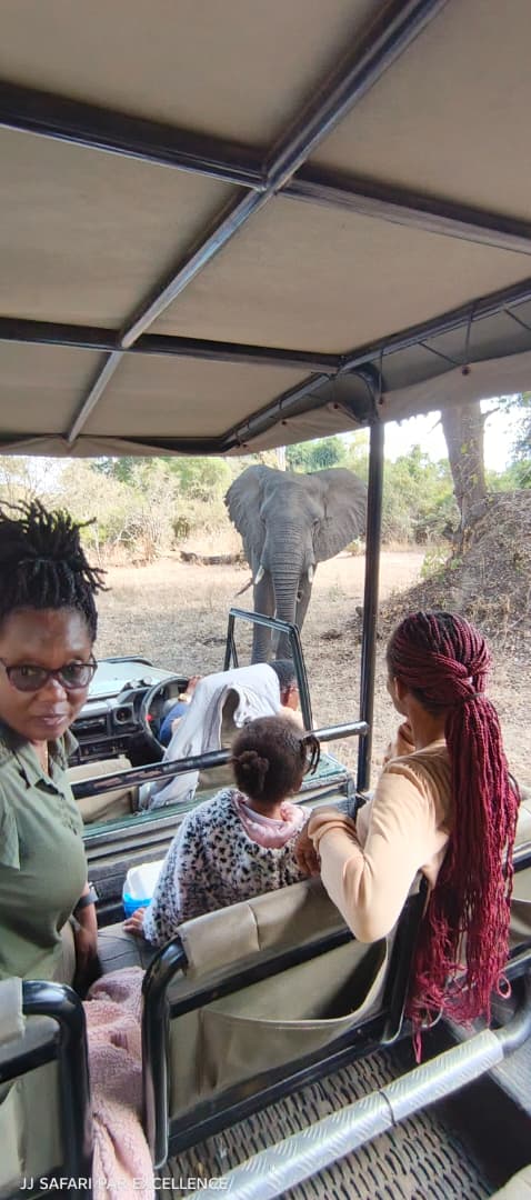 Safari