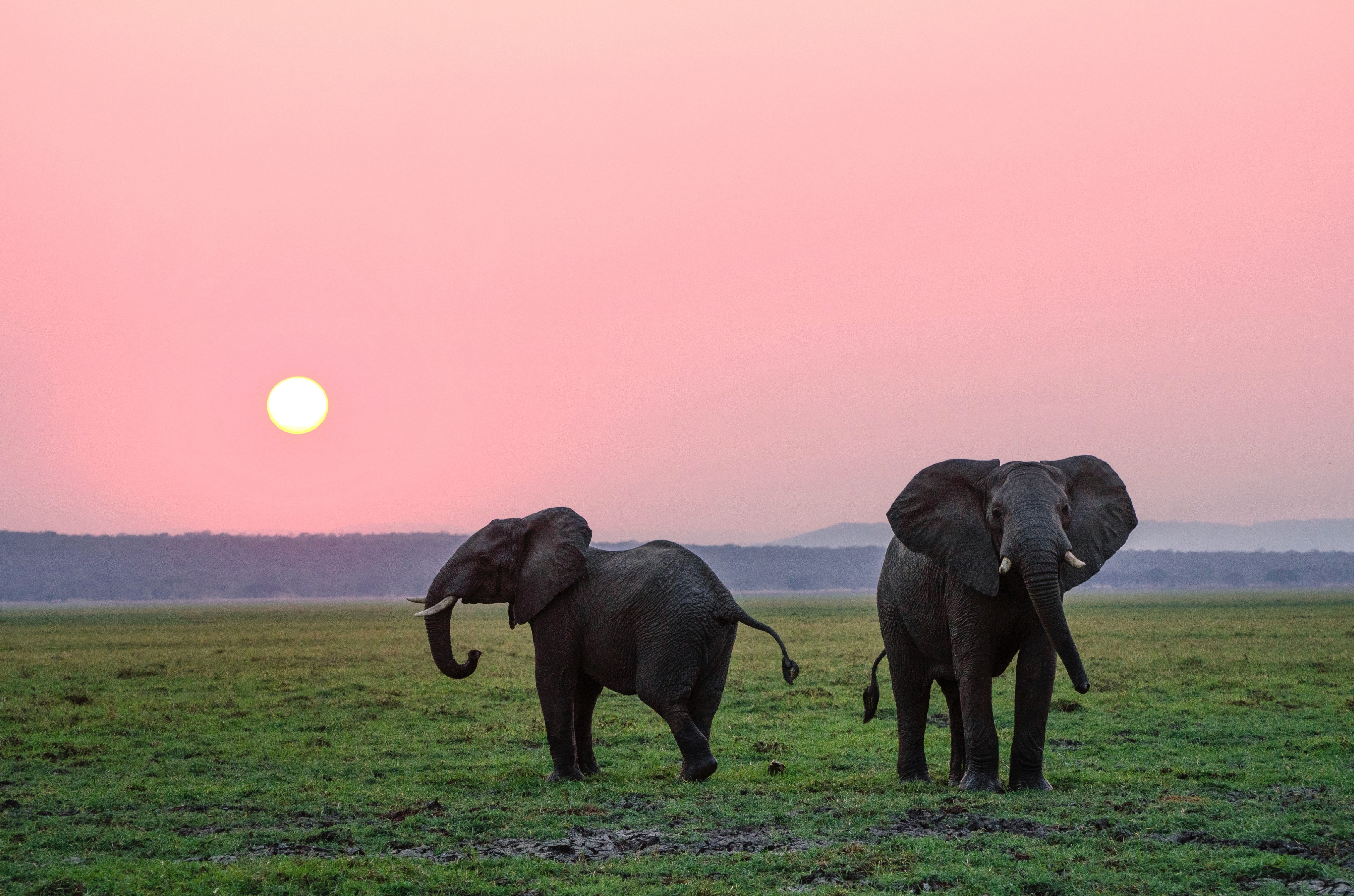 JJ Safari visitors enjoying a wildlife adventure
